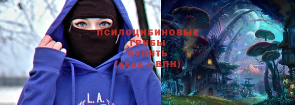 spice Кулебаки