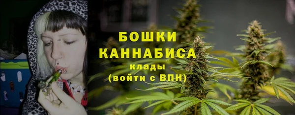 spice Кулебаки